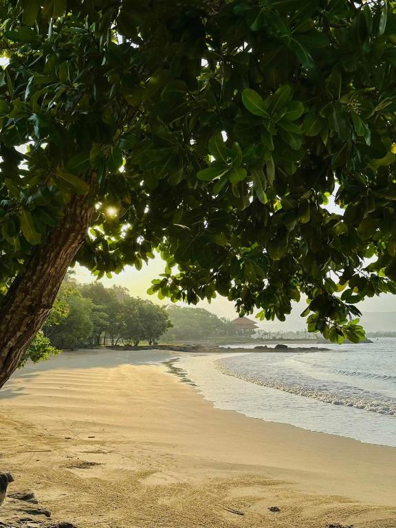 Direct charter flights from Warsaw and Katowice to Phu Quoc (PQC), Vietnam, operated by LOT Polish Airlines for the 2026–2027 winter season