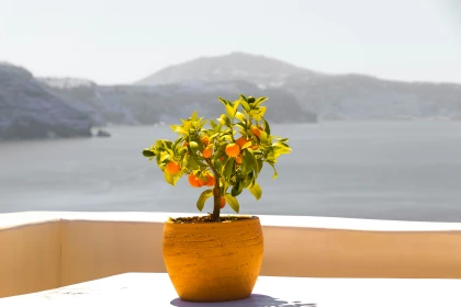 AIR TICKETS PROMOTION! Greece, Chisinau - Creta 15.10.2026 61 &euro;