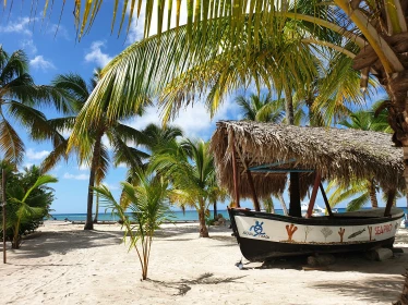 AIR TICKETS PROMOTION! Dominican Republic, Prague - Punta Cana - Prague 12.11.2026-20.11.2026 1303 &euro;