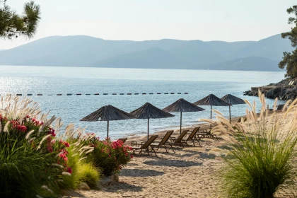AIR TICKETS PROMOTION! Turkey, Prague - Bodrum - Prague 07.09.2026-14.09.2026 367 &euro;