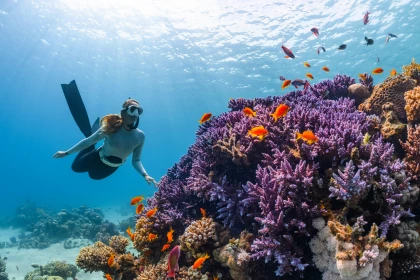 AIR TICKETS PROMOTION! Egypt, Sharm El Sheikh - Chisinau 10.10.2026 96 &euro;