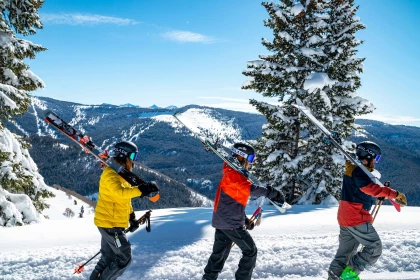 AIR TICKETS PROMOTION! Austria, Vilnius - Salzburg - Vilnius 30.01.2027-06.02.2027 282 &euro;