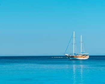 AIR TICKETS PROMOTION! Turkey, Vienna - Bodrum 27.09.2026 67 &euro;
