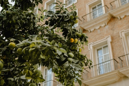 AIR TICKETS PROMOTION! Spain, Malaga - Tallinn 20.06.2026 112 &euro;