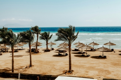 AIR TICKETS PROMOTION! Egypt, Hurghada - Chisinau 23.04.2026 169 &euro;